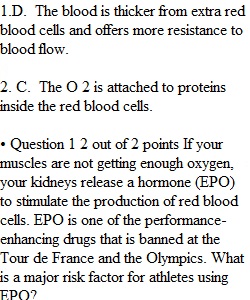 Chapter 23 Quiz